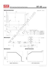 RT-85A Datasheet Page 2