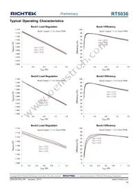 RT5036GQW Datasheet Page 19