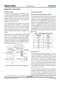 RT5036GQW Datasheet Page 21