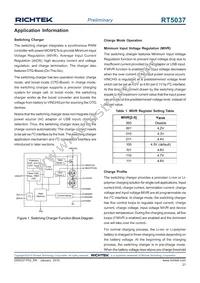 RT5037GQW Datasheet Page 21