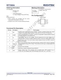 RT7300AGS Datasheet Page 2