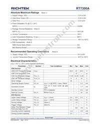 RT7300AGS Datasheet Page 7