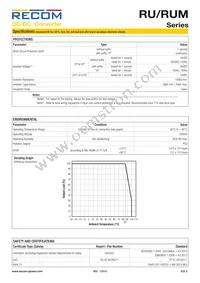 RUM-3.30505/HP Datasheet Page 3