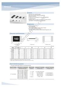 RUW3216FR100CS Datasheet Page 8