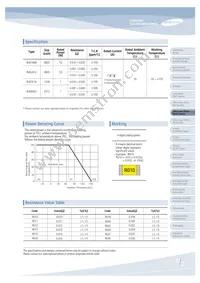 RUW3216FR100CS Datasheet Page 15
