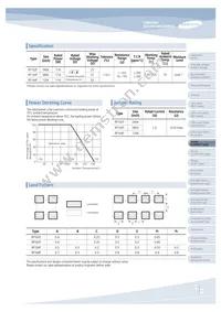 RUW3216FR100CS Datasheet Page 19