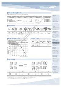 RUW3216FR100CS Datasheet Page 21