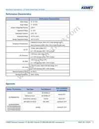 S01PM5805K016A Datasheet Page 3