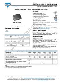 S10CKHM3/I Datasheet Cover