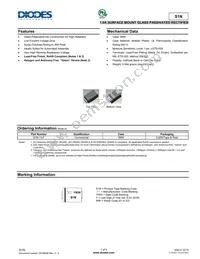 S1N-13-F Datasheet Cover
