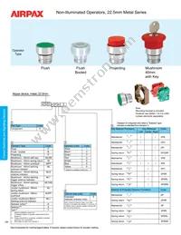 S4 Datasheet Page 4