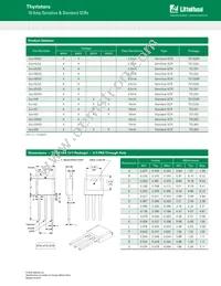 S6010RS3 Datasheet Page 10