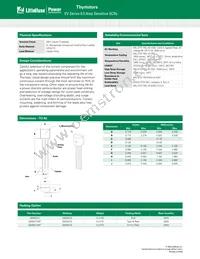 S8X5ECSRP Datasheet Page 5