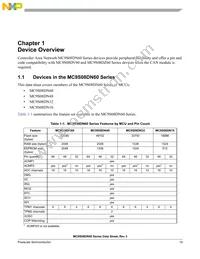 S9S08DN60F1MLF Datasheet Page 19