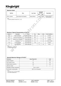 SA43-11SRWA Datasheet Page 2