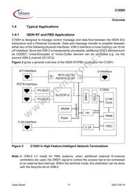 SAFC165HLFV13XT Datasheet Page 17