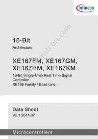 SAK-XE167KM-72F80L AA Datasheet Page 3