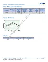 SC-02-300JV Datasheet Page 4