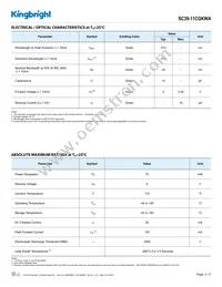 SC39-11CGKWA Datasheet Page 2