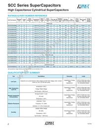 SCCY62B307SSB Datasheet Page 2