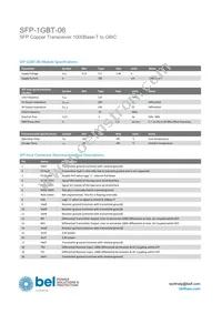 SFP-1GBT-06 Datasheet Page 2