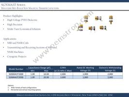 SGNMA3T1000 Datasheet Cover