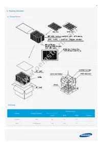 SI-B8T041100WW Datasheet Page 12