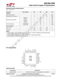 SI2162-C60-GM Datasheet Page 2