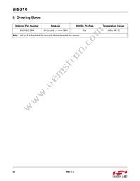 SI5316-B-GM Datasheet Page 20