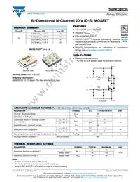 SI8902EDB-T2-E1 Datasheet Cover