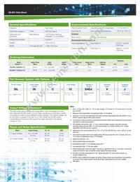 SIL06C-12SADJ-VJ Datasheet Page 2