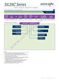 SIL25C-12SNEG-V Datasheet Page 2