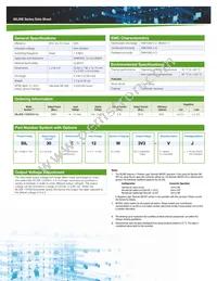 SIL30E-12W3V3-VJ Datasheet Page 2