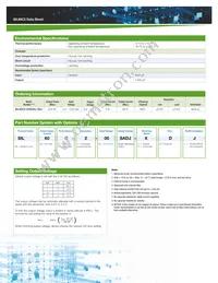 SIL60C2-00SADJ-VDJ Datasheet Page 2