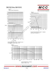SK1010-TP Datasheet Page 2