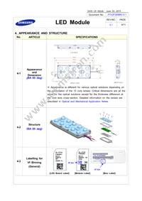 SL-P7V2F385BKI Datasheet Page 8