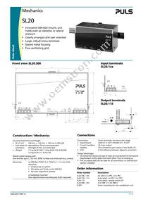 SL20.100 Datasheet Page 3