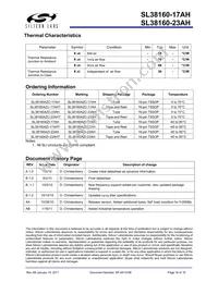 SL38160AZC-17AH Datasheet Page 16