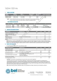 SLDM-12D1ALR Datasheet Page 3