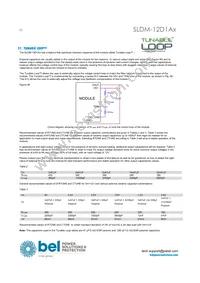 SLDM-12D1ALR Datasheet Page 22