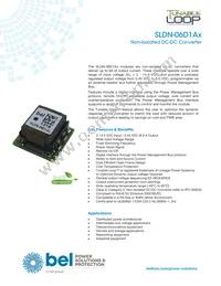 SLDN-06D1ALG Datasheet Cover