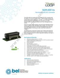 SLDN-40E1ALG Datasheet Cover