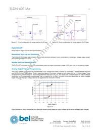 SLDN-40E1ALG Datasheet Page 13