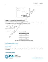 SLDN-40E1ALG Datasheet Page 14