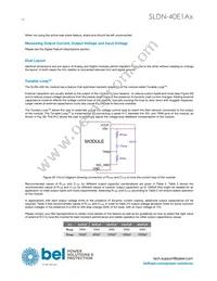 SLDN-40E1ALG Datasheet Page 18