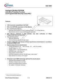 SLE5542M32XHSA2 Datasheet Page 3