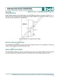 SLIN-06E2A0G Datasheet Page 17