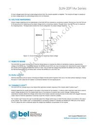 SLIN-20F1A0G Datasheet Page 10