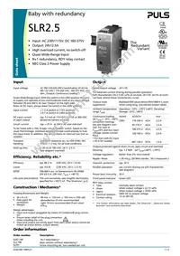 SLR2.100 Datasheet Cover