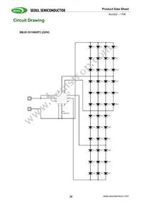 SMJD2V16W2P3-GA Datasheet Page 20